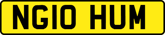 NG10HUM