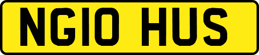 NG10HUS