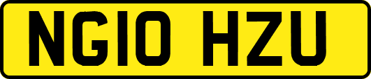 NG10HZU