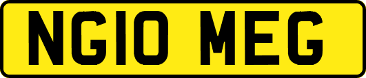 NG10MEG