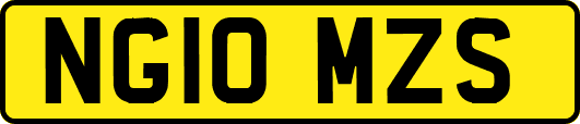 NG10MZS