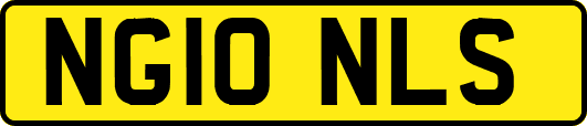 NG10NLS