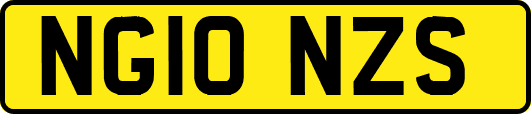 NG10NZS