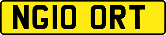 NG10ORT