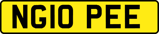 NG10PEE