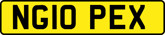 NG10PEX