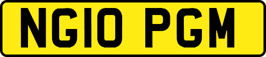 NG10PGM