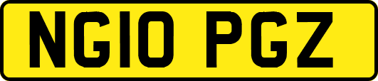 NG10PGZ