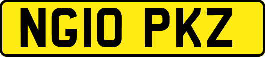 NG10PKZ