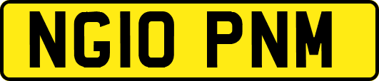 NG10PNM