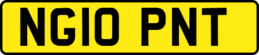NG10PNT