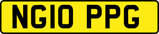 NG10PPG