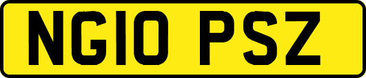 NG10PSZ