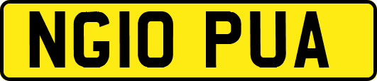 NG10PUA