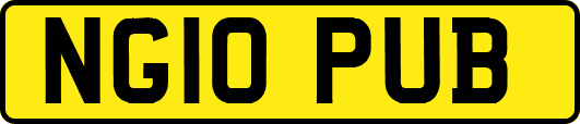 NG10PUB