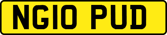 NG10PUD