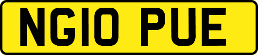 NG10PUE