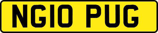NG10PUG