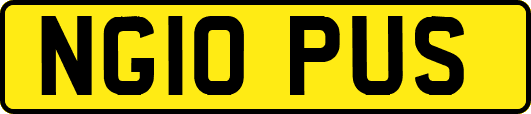 NG10PUS