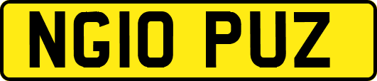 NG10PUZ
