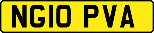 NG10PVA