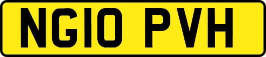 NG10PVH