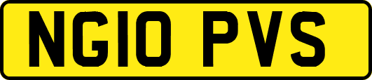 NG10PVS