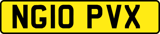 NG10PVX