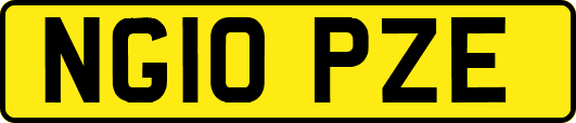 NG10PZE