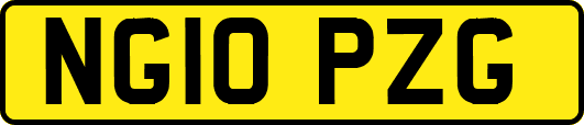 NG10PZG