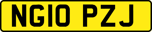 NG10PZJ