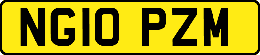 NG10PZM
