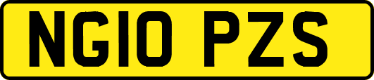 NG10PZS