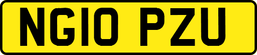 NG10PZU