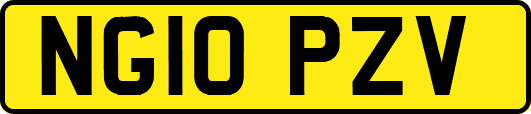 NG10PZV