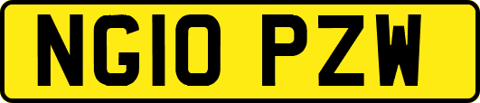 NG10PZW