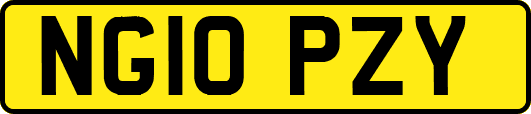 NG10PZY