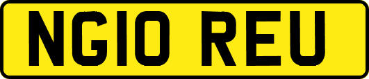 NG10REU