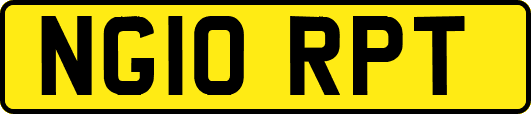 NG10RPT