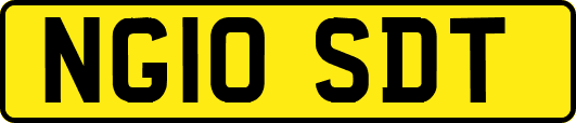 NG10SDT