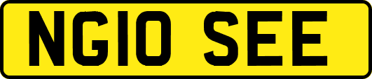 NG10SEE