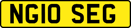 NG10SEG