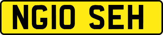 NG10SEH