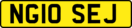 NG10SEJ