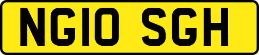 NG10SGH