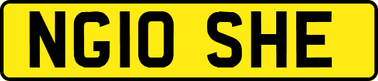 NG10SHE