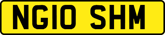 NG10SHM