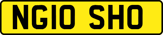 NG10SHO