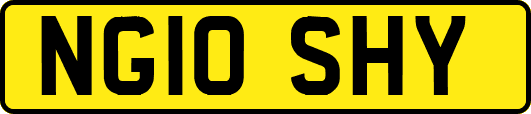 NG10SHY