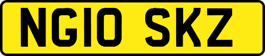 NG10SKZ